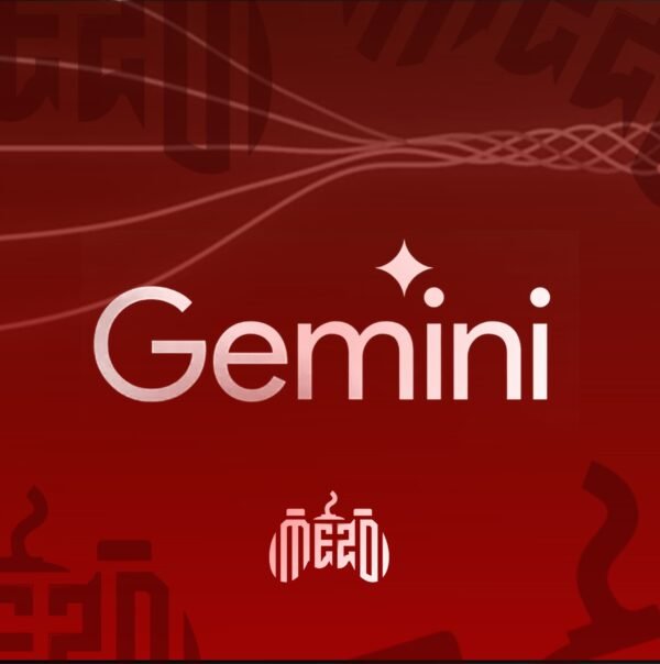 إشتتراك Gemini